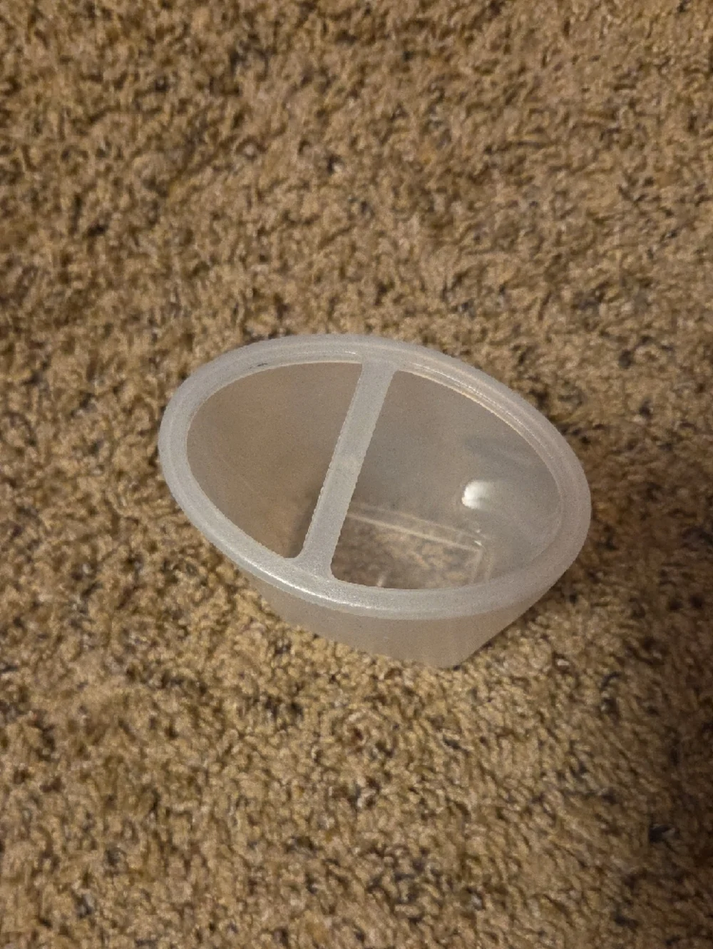 Frosted Plastic Divided Organizer Cup - Toothbrush Holder